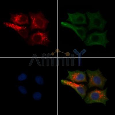 Валидация Affinity DF13211 - 8221