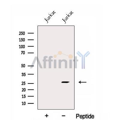 Валидация Affinity DF12991 - 7771