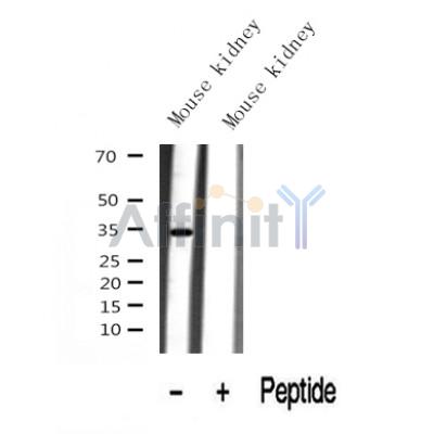 Валидация Affinity AF7029 - 4181