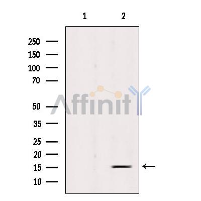 Валидация Affinity DF6933 - 18542