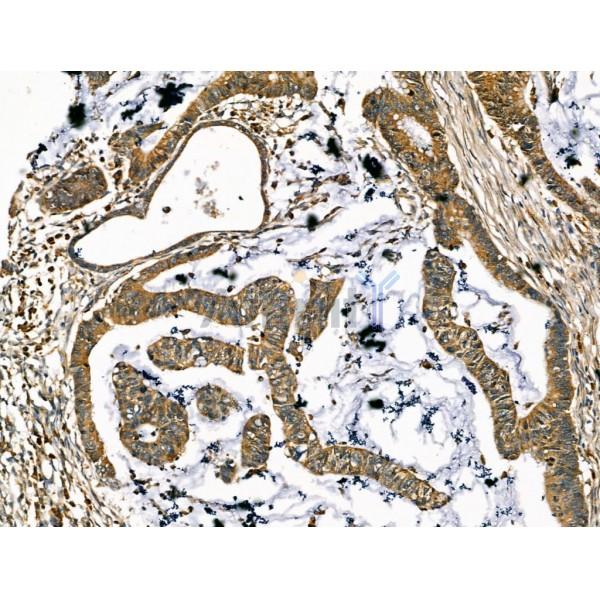 Валидация Affinity DF13253 - 8324