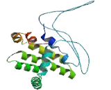 B-Cell Leukemia/Lymphoma 2 (Bcl2) B-Cell Leukemia/Lymphoma 2 (Bcl2)