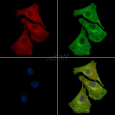 Валидация Affinity DF14446 - 10414