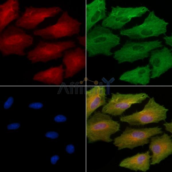 Валидация Affinity DF12114 - 6252