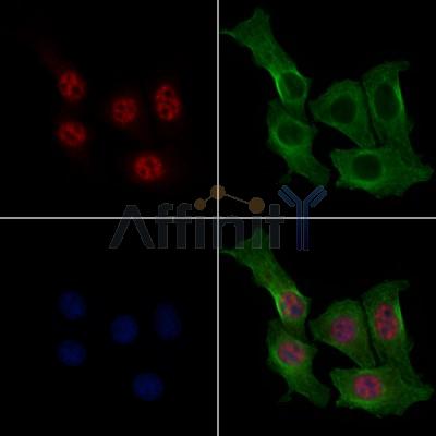 Валидация Affinity AF7860 - 4598