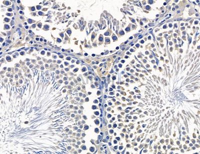 Валидация Affinity DF15663 - 12110