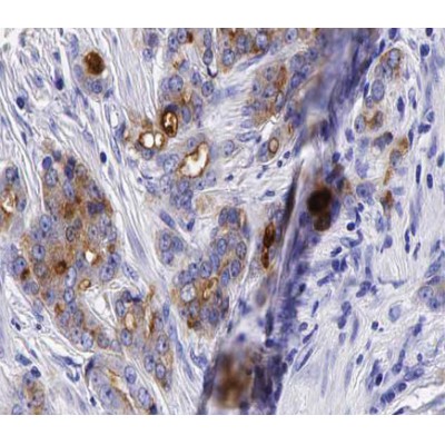 Валидация Affinity DF7129 - 18778