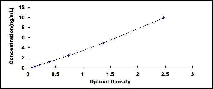 51068