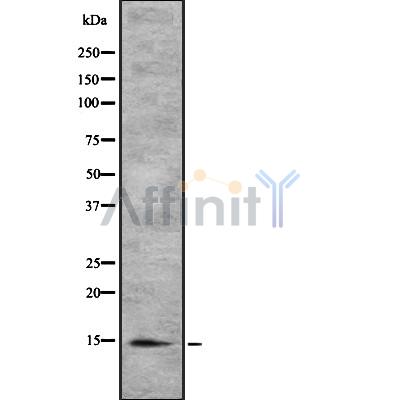 Валидация Affinity DF8441 - 20320
