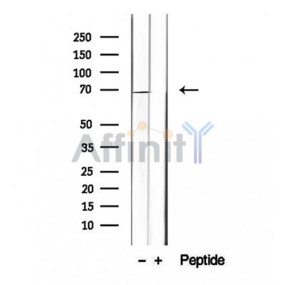 Валидация Affinity DF12412 - 6907