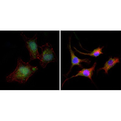 Валидация Affinity BF0319 - 5219