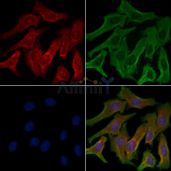 Валидация Affinity DF5165 - 17133