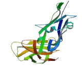 Leukocyte Immunoglobulin Like Receptor Subfamily A, Member 3 (LILRA3) Leukocyte Immunoglobulin Like Receptor Subfamily A, Member 3 (LILRA3)