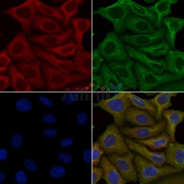 Валидация Affinity DF5083 - 17001