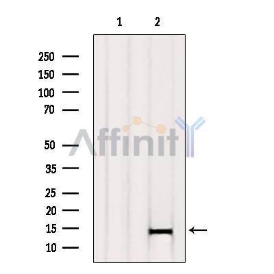 Валидация Affinity AF5324 - 2890