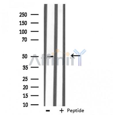 Валидация Affinity DF3437 - 14341