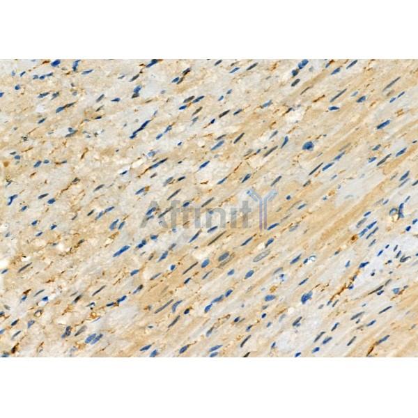 Валидация Affinity DF7441 - 19190