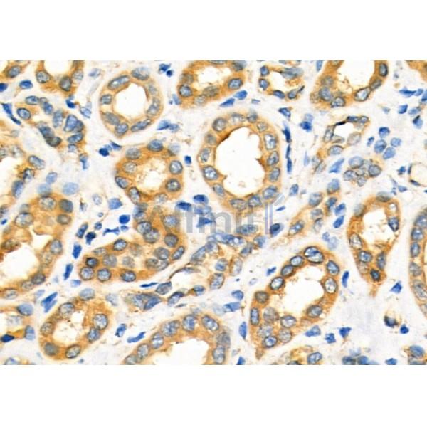 Валидация Affinity DF12448 - 6979