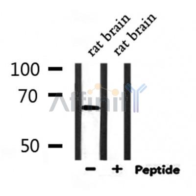 Валидация Affinity DF7742 - 19544