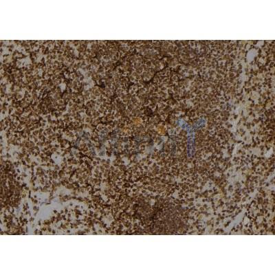 Валидация Affinity DF6628 - 18094