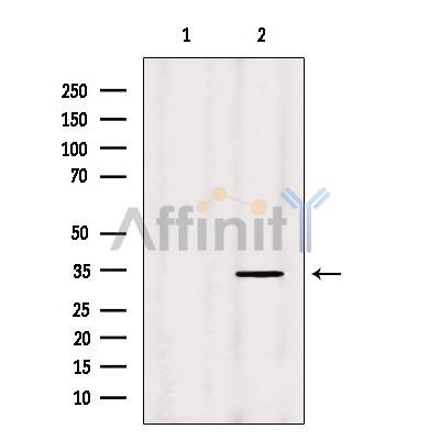 Валидация Affinity DF9103 - 21404