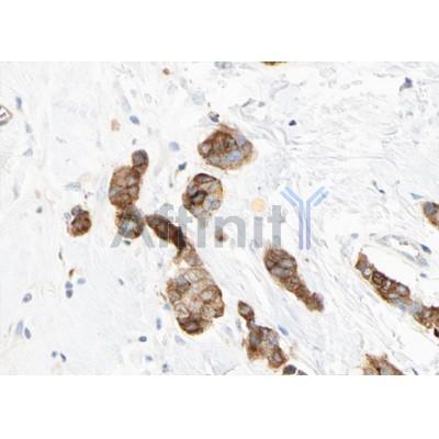 Валидация Affinity AF5225 - 2697