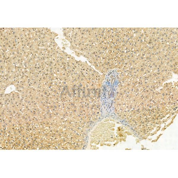 Валидация Affinity DF12081 - 6168