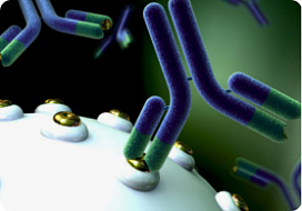 Синтез антител с флуоресцентными или другими метками на заказ