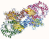 Acid Phosphatase (ACP)