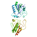 Peroxidase (P)