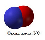 Nitric oxide (NO)