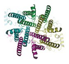 Glutamate receptor (GluR)