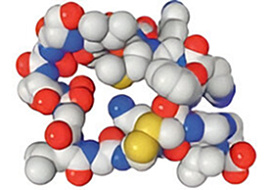 Синтез пептидов на заказ