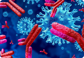 Биосимилярные антитела