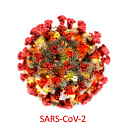 SARS-CoV-2