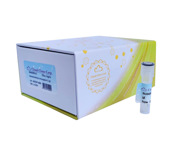 Transseksual nima? Transseksual nima?