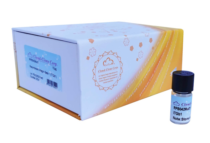 Osiyo pornosini yuqori sifatli onlayn tomosha qiling Bishkekning transseksuallari