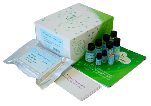 Qoshnining fohisha ayoli bilan jinsiy aloqa qilish 2-qurol porno onlayn